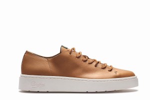 Zapatillas Paraboot Nova Hombre Marrones | WSW3854WW